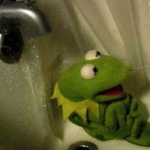 Meet your Posher, Tina and vivian